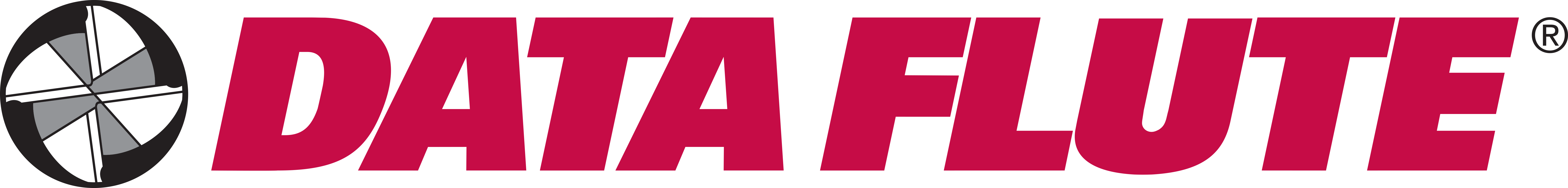Data Flute Logo